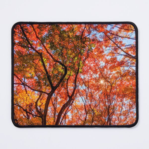 Item preview, Beautiful Fall Leaves in DC designed and sold by BubbleCrumbs.