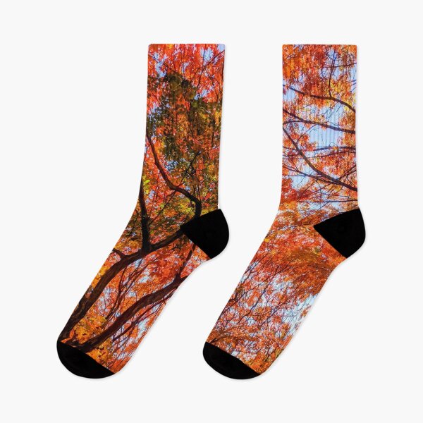 Item preview, Beautiful Fall Leaves in DC designed and sold by BubbleCrumbs.