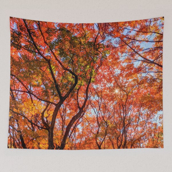 Item preview, Beautiful Fall Leaves in DC designed and sold by BubbleCrumbs.