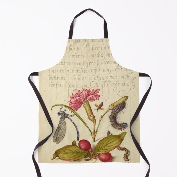Item preview, Naturalist Manuscript: Insects, Flower, and Calligraphy Illumination by Joris Hoefnagel designed and sold by Naturalist Prints.