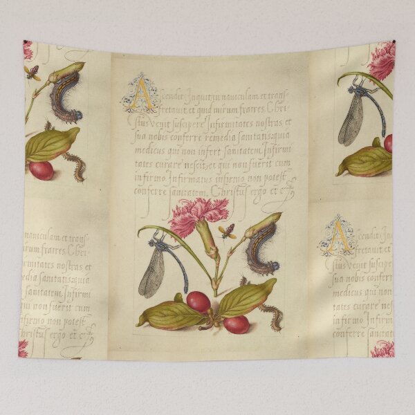 Item preview, Naturalist Manuscript: Insects, Flower, and Calligraphy Illumination by Joris Hoefnagel designed and sold by Naturalist Prints.