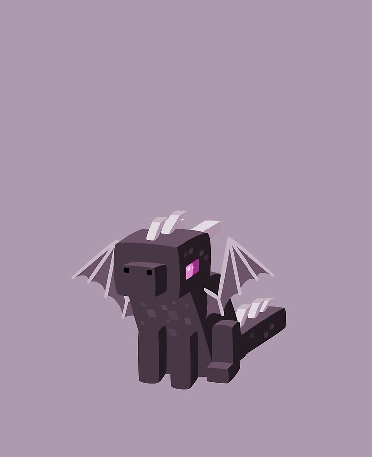 Ender Dragon skin