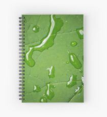 Cuaderno de espiral verde