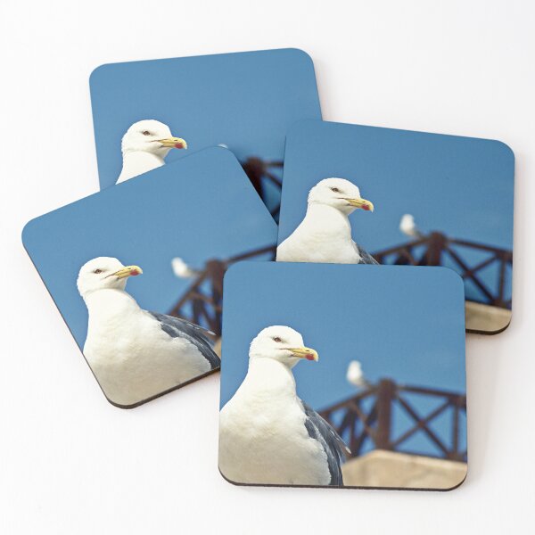 Item preview, SEAGULL designed and sold by ARFC007 ⭐⭐⭐⭐⭐.