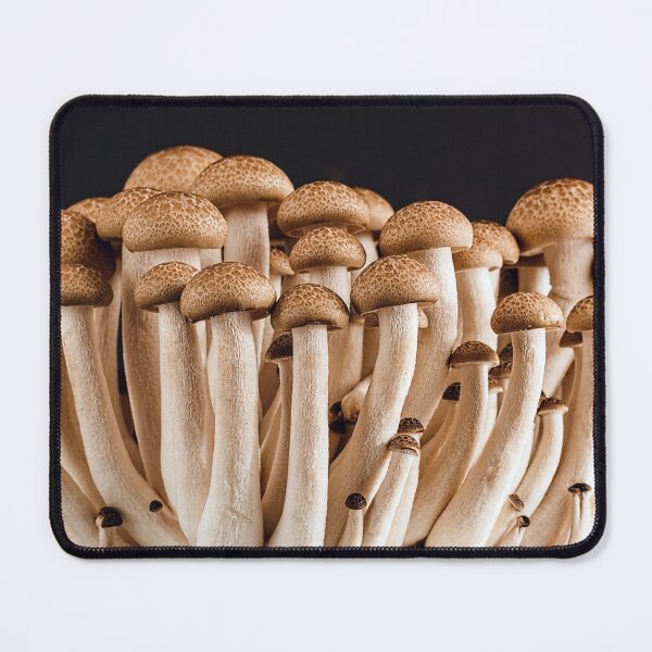 Item preview, Mushrooms Edible Mushroom Edible Mushrooms designed and sold by MonArtisteSam.