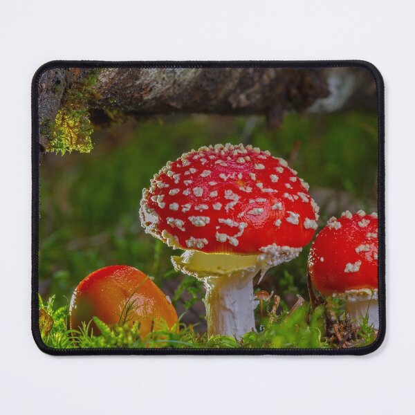 Artikelvorschau, Fliegenpilz-Pilze Rote Pilz-Pilze entworfen und verkauft von MonArtisteSam.