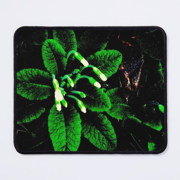 Item preview, primroses designed and sold by ART22.