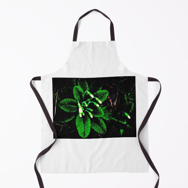 Item preview, primroses designed and sold by ART22.