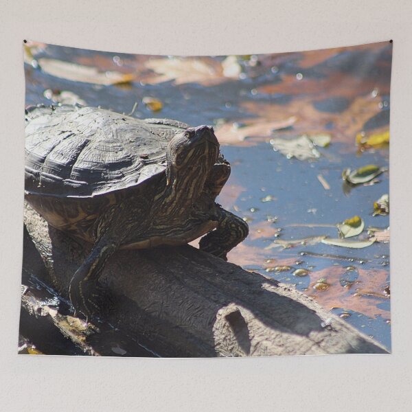 Item preview, TURTLE LOG designed and sold by BOLLA67.