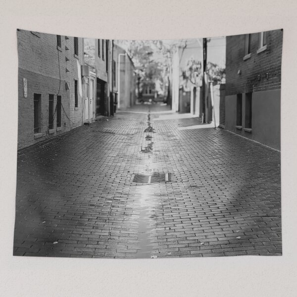 Item preview, Stunningly detailed Washington DC Alley Black and White designed and sold by BubbleCrumbs.