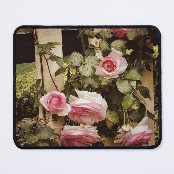 Item preview, Pink roses designed and sold by piclinks.