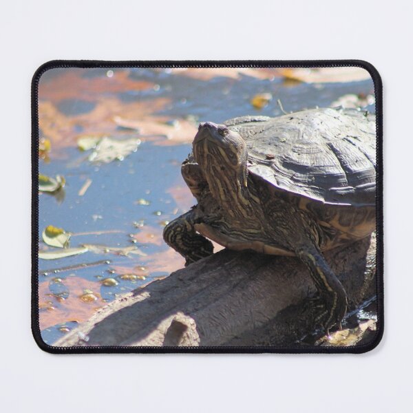 Item preview, CHILLIN ON THE LOG designed and sold by BOLLA67.