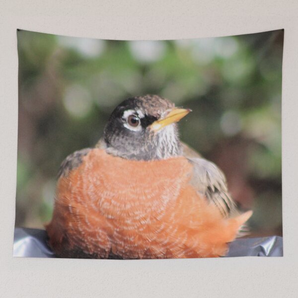Item preview, CAREFREE designed and sold by BOLLA67.