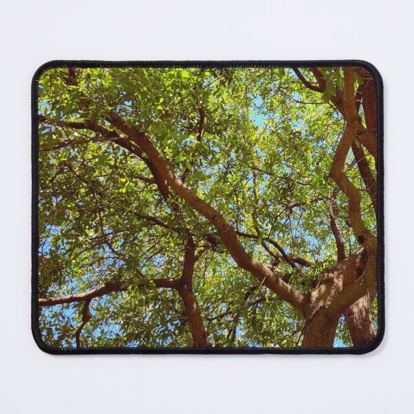 Item preview, Intricate Tree Branches designed and sold by ColorfulPrints.