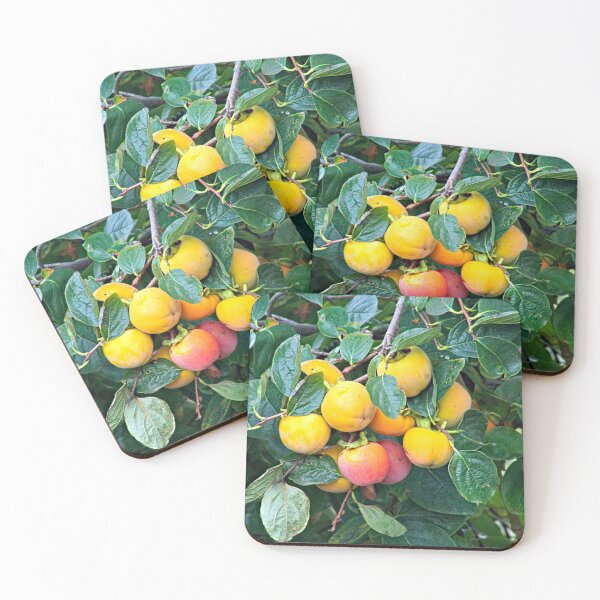 Item preview, Japanese Persimmon Fruit Leaves Tree Branches designed and sold by worldways.