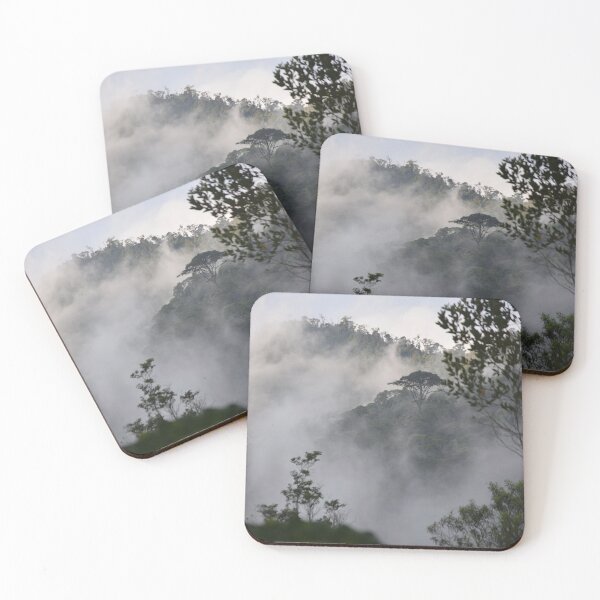 Item preview, Mountain Cloud Forest, Ecuador designed and sold by Janice Schiff.