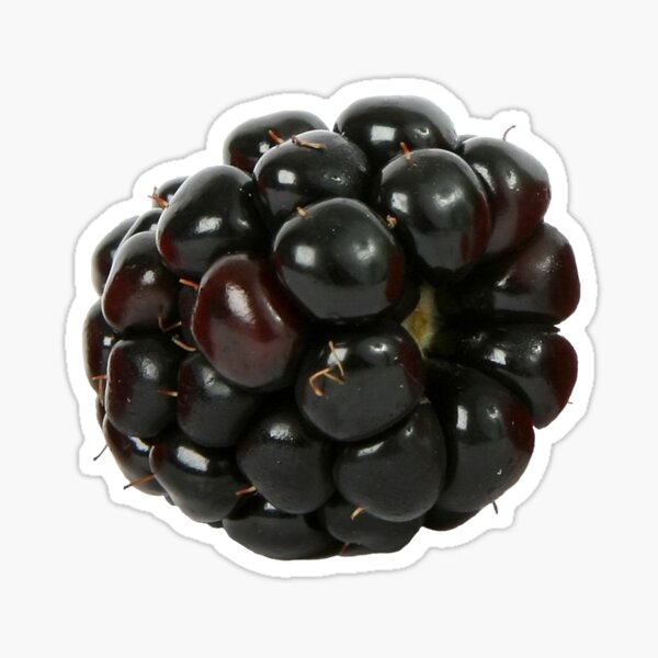 Item preview, Blackberry  designed and sold by ProhibitionStickers.