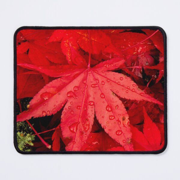 Item preview, Red Maple Leaf designed and sold by Jim Stiles.