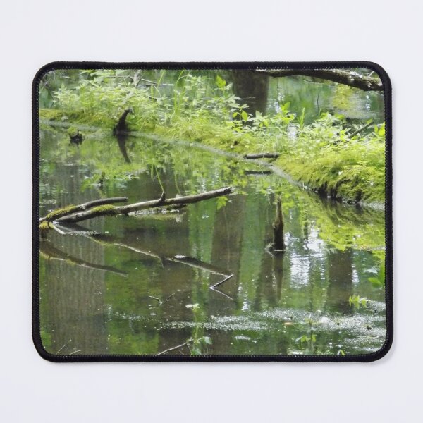 Item preview, Swamp Biome Waterscape designed and sold by DragonCGallery.
