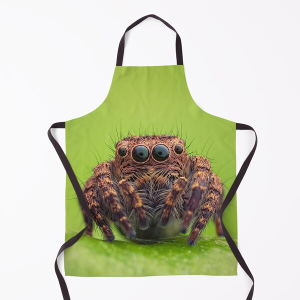 Item preview, Jumping Spider designed and sold by MorningFive.