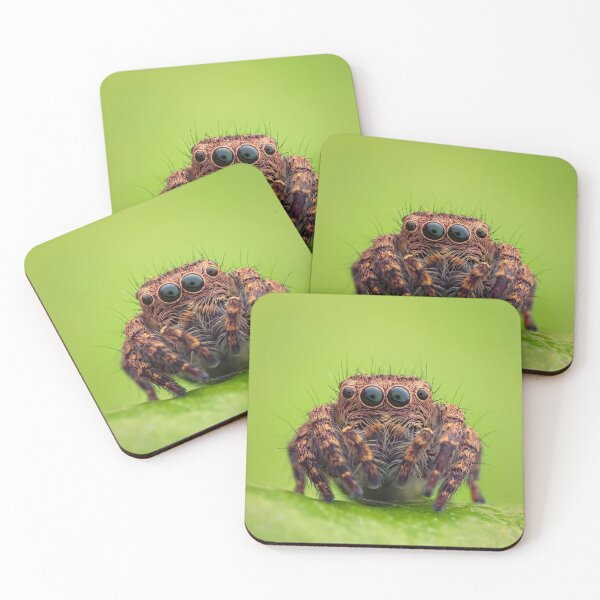 Item preview, Jumping Spider designed and sold by MorningFive.