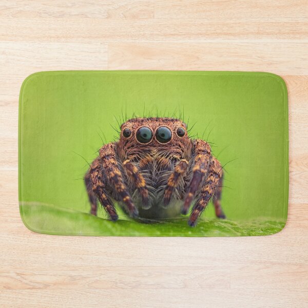 Item preview, Jumping Spider designed and sold by MorningFive.