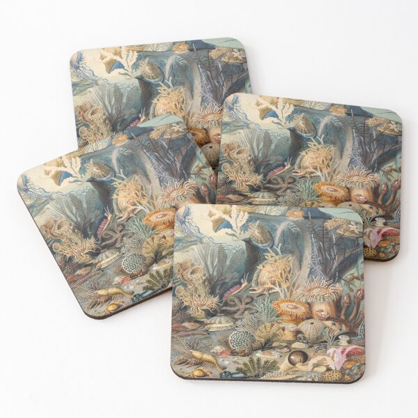 Item preview, Rare Vintage Ocean Life Painting sea shell  designed and sold by Midwest-Goods.