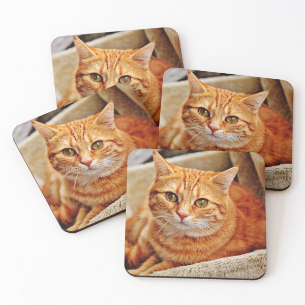 Item preview, Cat Feline Face Portrait designed and sold by MonArtisteSam.