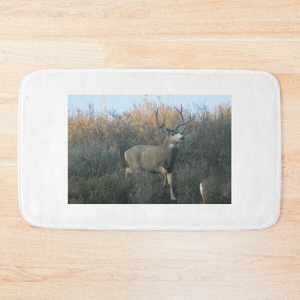 Item preview, Mule deer buck designed and sold by Saltypro.