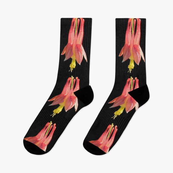 Item preview, Eastern Red Columbine designed and sold by Jean Gregory Evans.