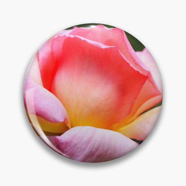 Item preview, Rose , Compassion, Single Bloom , Pink ,Canon 40D designed and sold by Rosehaven.