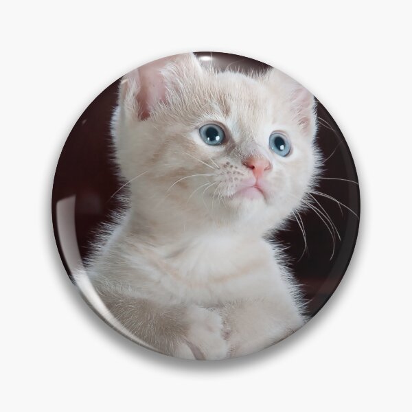 Item preview, Cat Kitten Pet Young Cat designed and sold by MonArtisteSam.