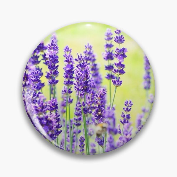 Item preview, Wild Lavender Flowers. Dark Purple Blooming Lavender Flowers designed and sold by silviaol.