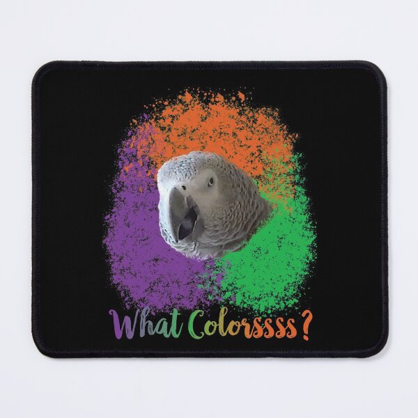 Item preview, Einstein Parrot: What Colors? designed and sold by einsteinparrot.