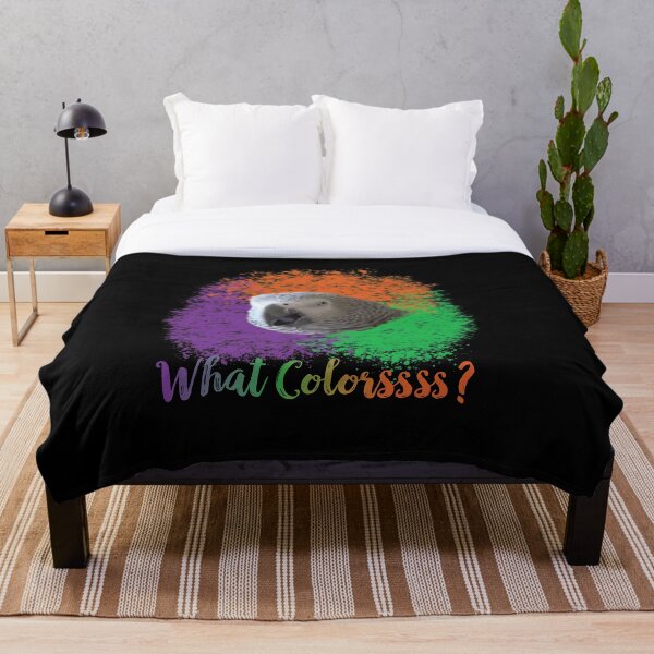 Item preview, Einstein Parrot: What Colors? designed and sold by einsteinparrot.