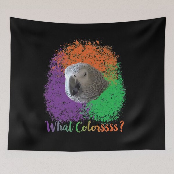 Item preview, Einstein Parrot: What Colors? designed and sold by einsteinparrot.