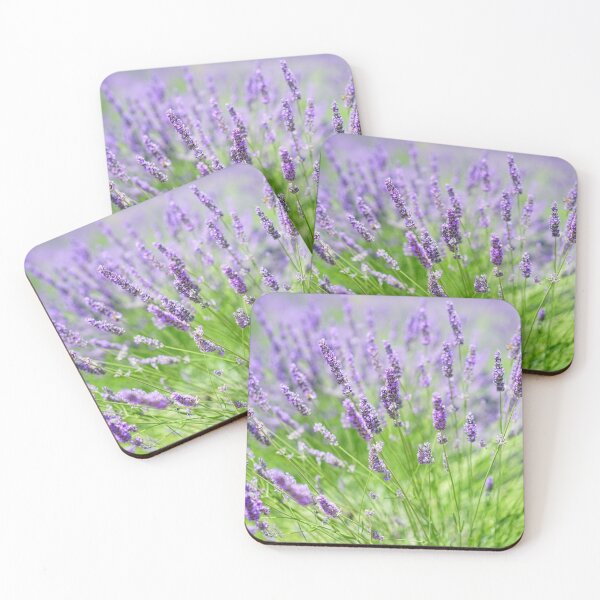 Item preview, Vibrant Wild Lavender Flowers. Light Purple Blooming Lavender Flowers designed and sold by silviaol.