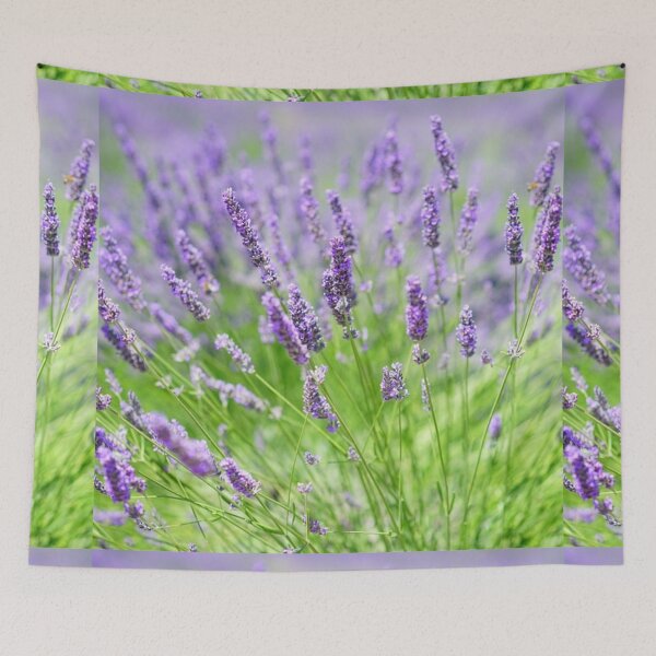 Item preview, Vibrant Wild Lavender Flowers. Light Purple Blooming Lavender Flowers designed and sold by silviaol.