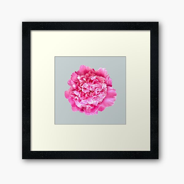 Item preview, Pink Peony Close-up designed and sold by InalterataArt.