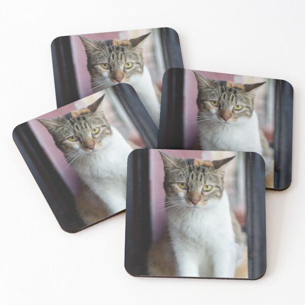 Item preview, the cat designed and sold by ricobarinas.