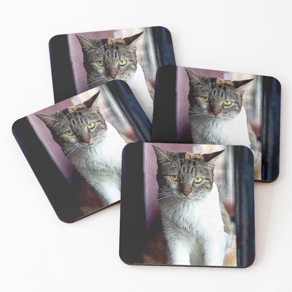 Item preview,  cat designed and sold by ricobarinas.