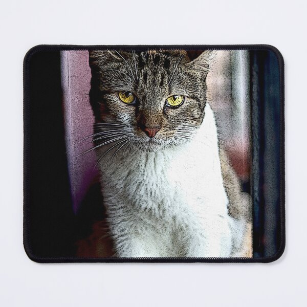 Item preview, cat designed and sold by ricobarinas.