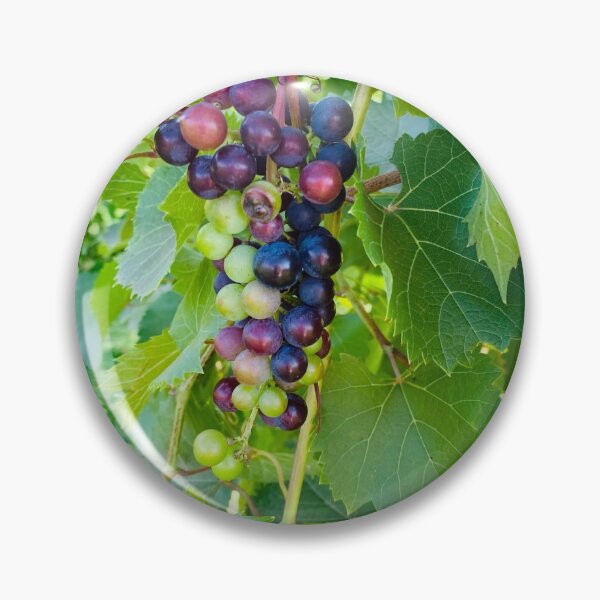 Item preview, Wine Grape designed and sold by AutriasOcean.