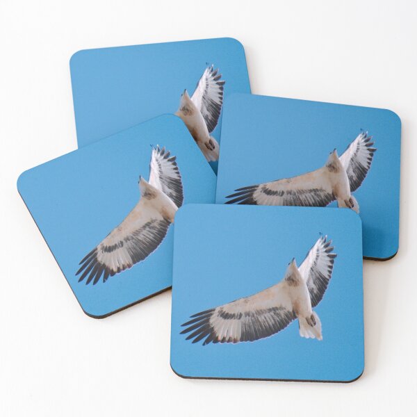 Item preview, RAPTOR ~ White-bellied Sea Eagle by David Irwin pBGrdan5 designed and sold by tasmanianartist.