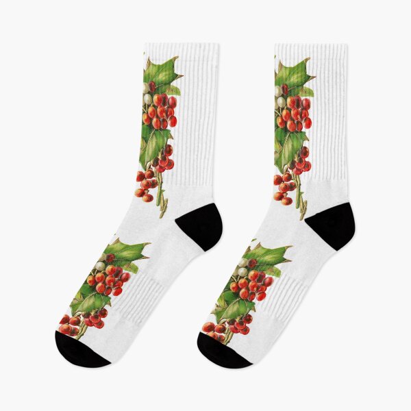 Item preview, A Merry Christmas. Vintage Holly and Mistletoe (ca. Early 1900s) designed and sold by IMPHives.