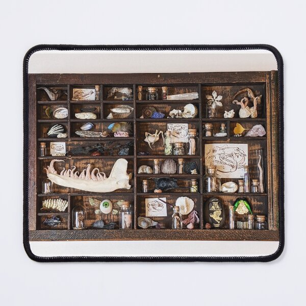 Item preview, Cabinet of Curiosities designed and sold by KatarinaNavane.