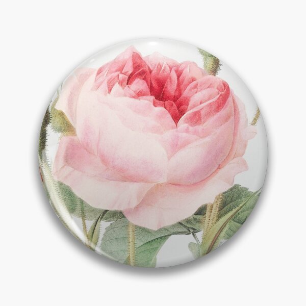Item preview, Vintage rosa rosa con fondo blanco. designed and sold by PKNCLICKS.