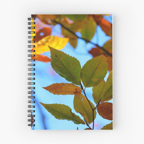Item preview, Autumn arrives designed and sold by PhyllisG-Art.