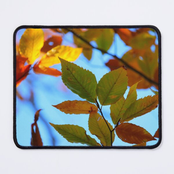 Item preview, Autumn arrives designed and sold by PhyllisG-Art.
