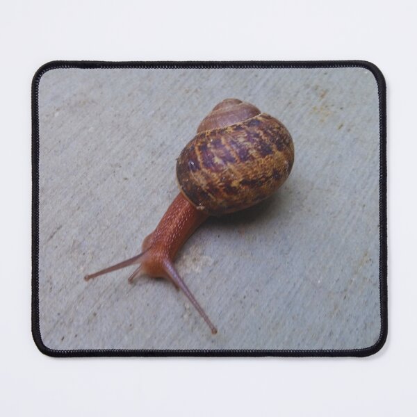 Item preview, Vintage Snail After Rainy Day designed and sold by ColorfulPrints.